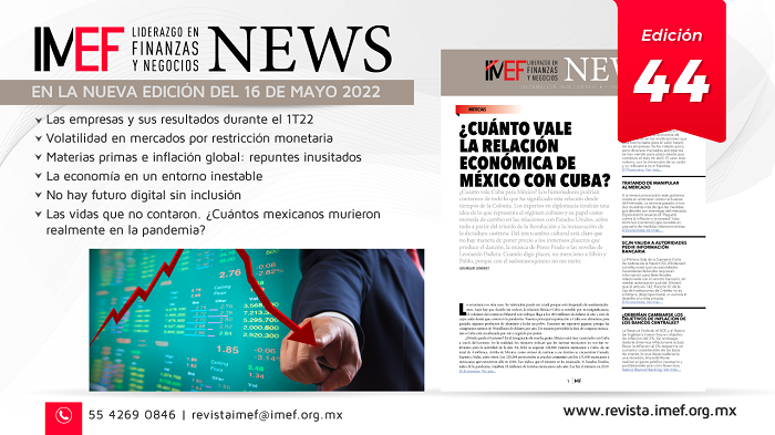 IMEF News 44