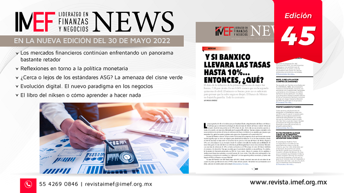 IMEF News 45